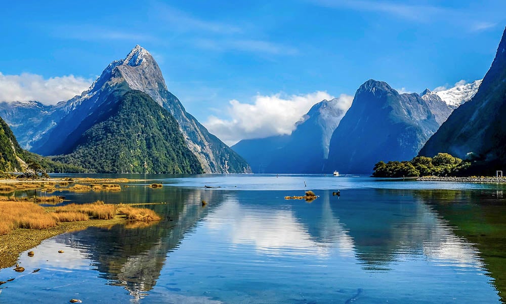 Unlimited 5 Star New Zealand Christmas Cruise  TripADeal