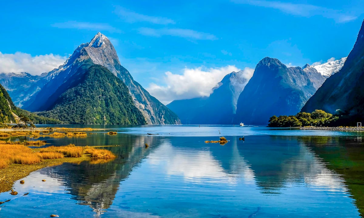 New Zealand Discovery Cruise | Cruise Package | Qantas Tours
