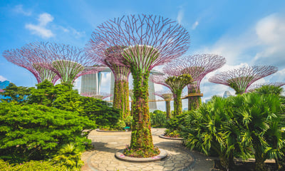 Singapore's Gardens by the Bay is home to a collection of over 1.5 million plants.