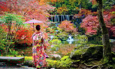 Experience the autumn season throughout Japan.