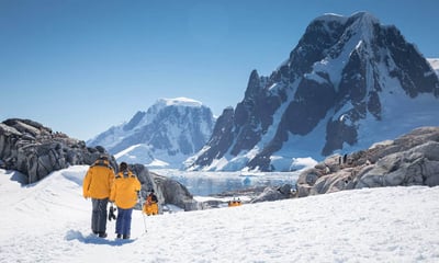 Set foot on the White Continent, cruising on a stylish small-expedition ship.