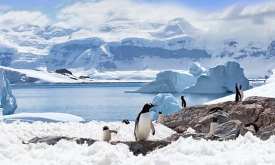 Tick Antarctica, the Falkland Islands and South Georgia off your bucket list on this luxury voyage.