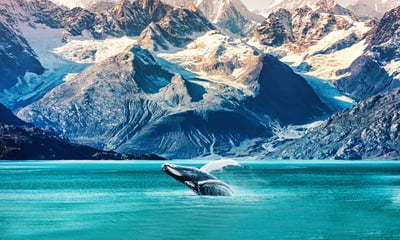 Discover Alaska's breathtaking scenery, glaciers and remote frontier towns.