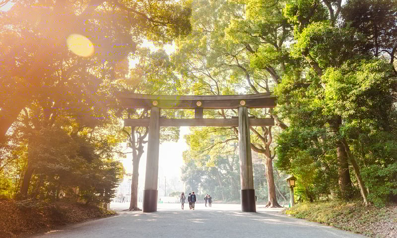 Explore Yoyogi Park, in Shibuya District, Tokyo, with time at leisure.