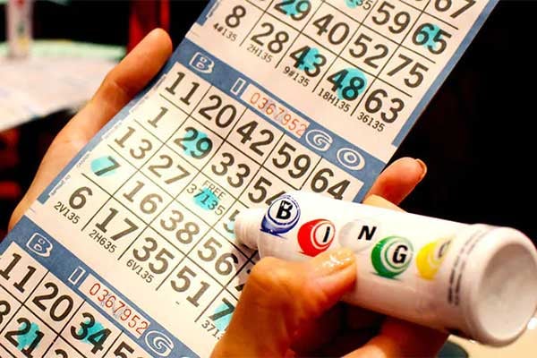 Bingo cruise highlight