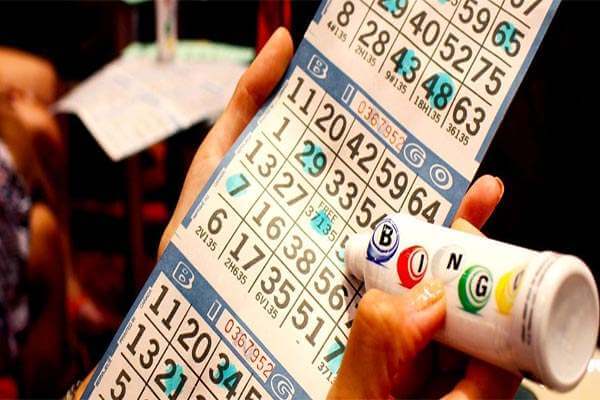 Bingo cruise highlight