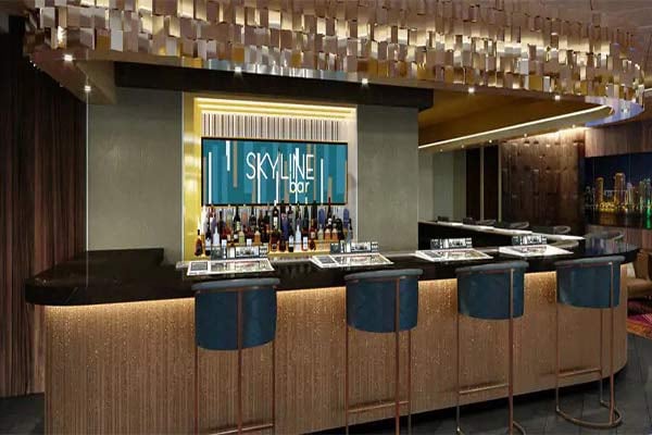Skyline Casino Bar cruise highlight