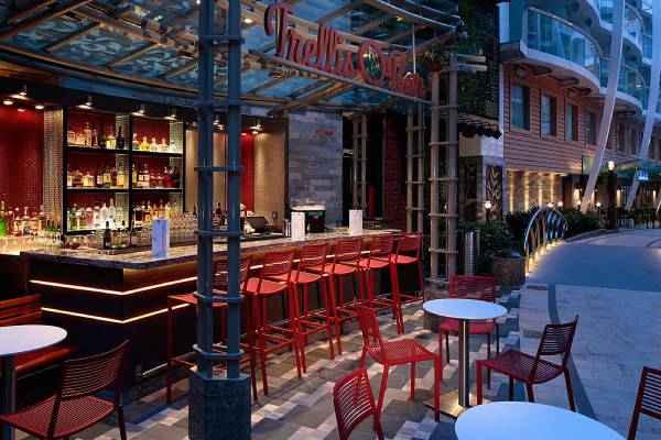 Trellis Bar cruise highlight