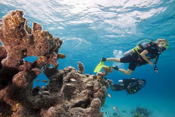 Scuba Certification cruise highlight
