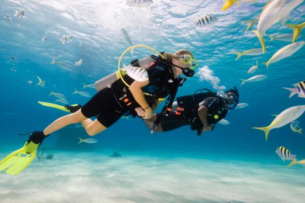 Scuba Certification cruise highlight