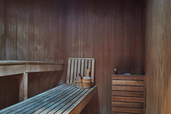 Sauna cruise highlight