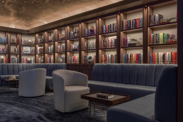 Silver Ray - Library cruise highlight