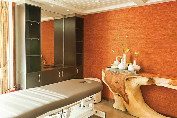 Massage Salon cruise highlight