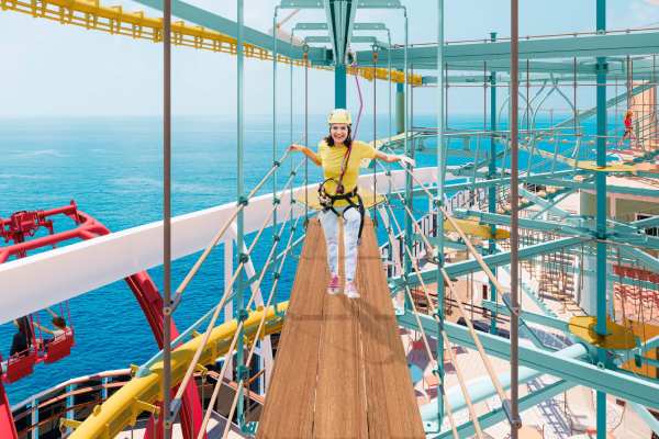 High Trail Ropes Course cruise highlight