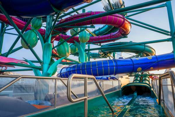 Pescaderia cruise highlight