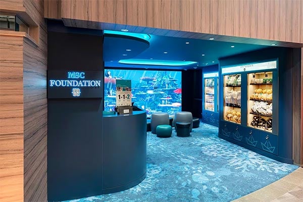 MSC Foundation cruise highlight
