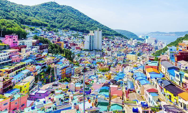 Discover Busan's Gamcheon Culture Village during your free time in port, South Korea.