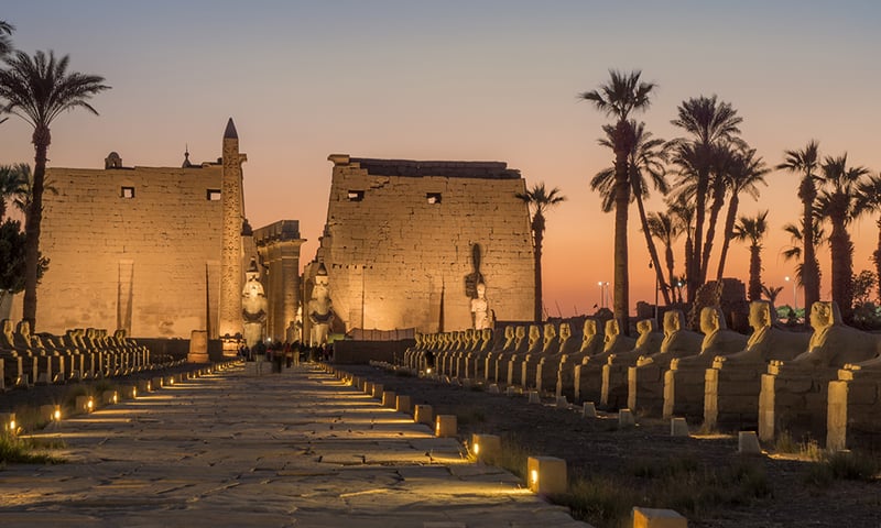 Luxor Temple welcomes you with an avenue of sphinx and statues of the god Horus.