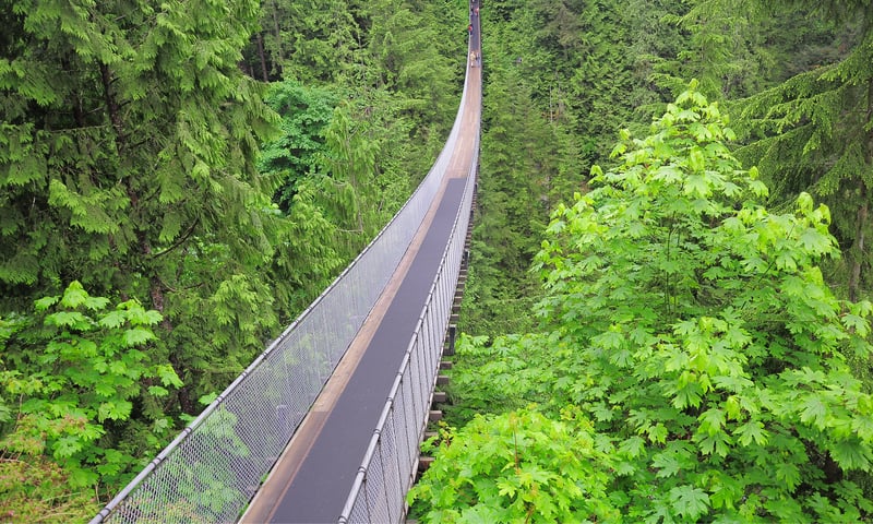 Why not venture into the lush scenery of the iconic Capilano Suspension Bridge, Vancouver.