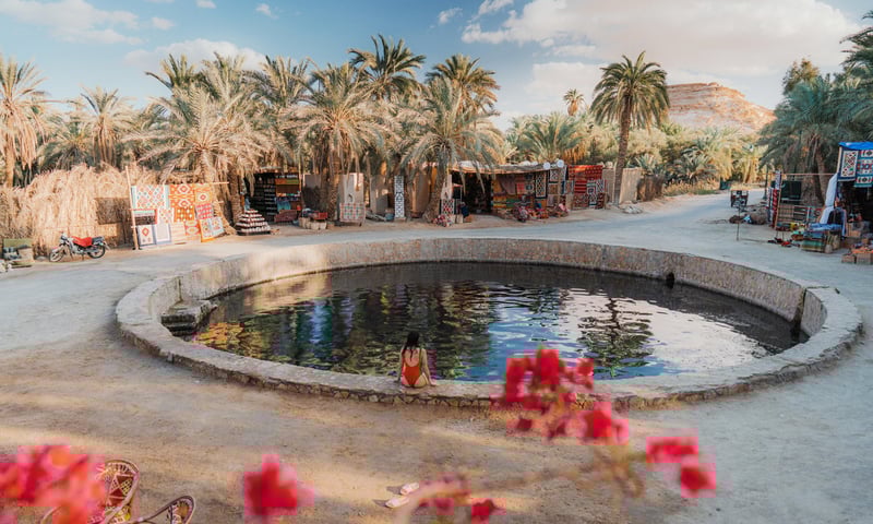 Be charmed by the warm, mineral-rich water of Cleopatra's Pool, Siwa Oasis.