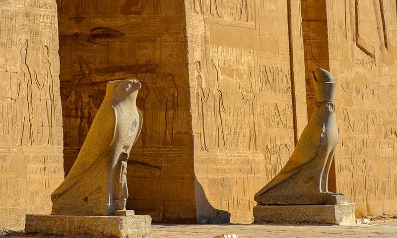 Immerse yourself among the illustrative hieroglyphs in the Temple of Horus in Edfu.