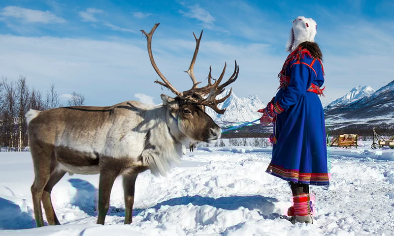 Meet the traditional Sami reindeer herders on an optional tour.