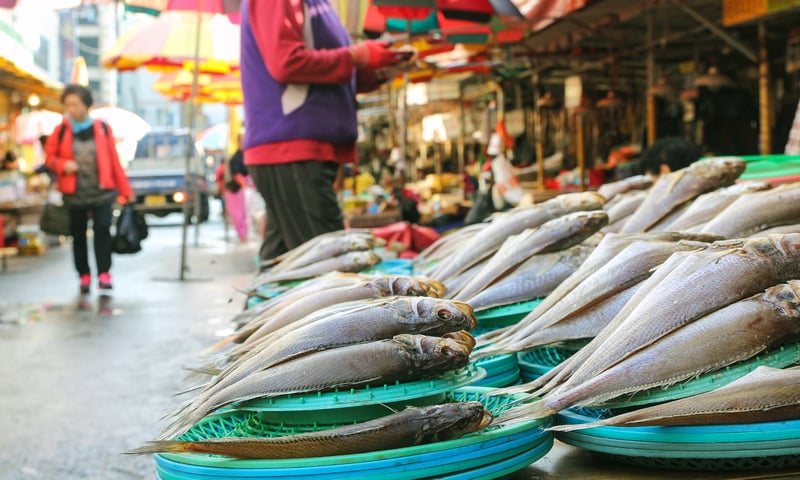 See the popular Jagalchi Fish Market in Busan, South Korea.