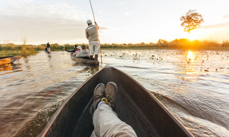 Sit back in amazement as you take in the beauty of Okavango Delta, Botswana.