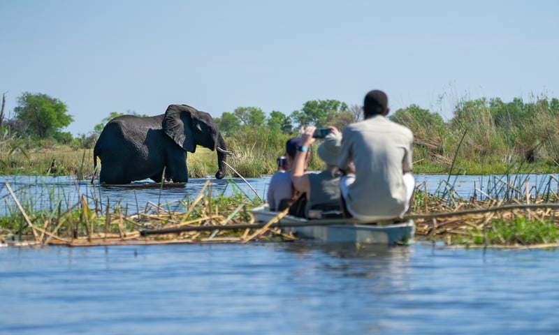 Embark on a Mokoro excursion with a local poler to explore the Okavango Delta, Namibia.
