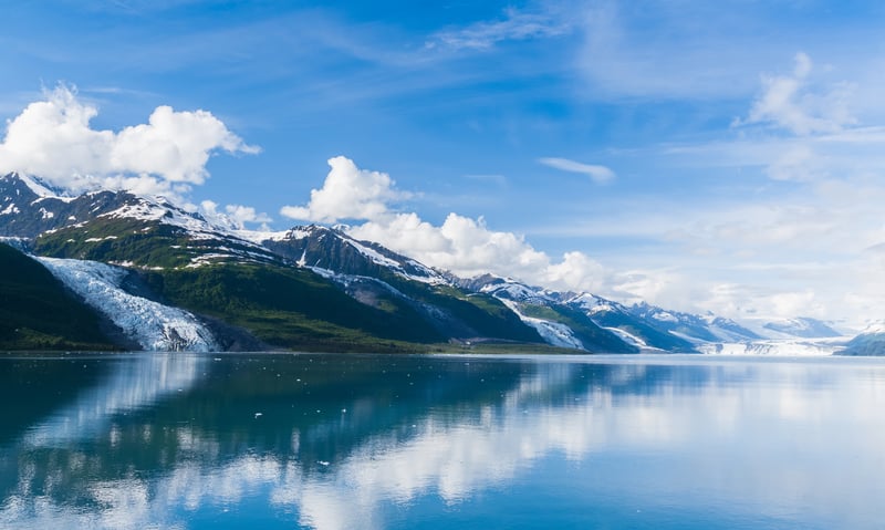 Visit College Fjord, home to five tidewater and valley glaciers.