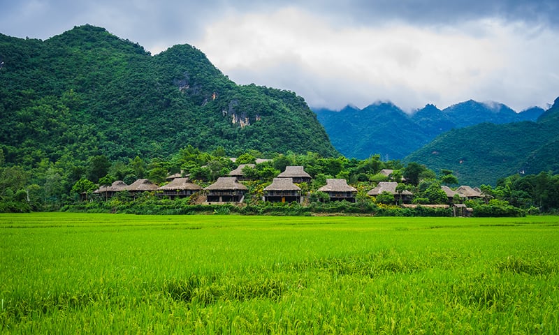 Local farming village of traditional stilt houses near Mau Chau, Vietnam