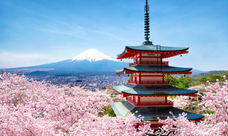 Japan Cherry Blossoms Tour Package TripADeal