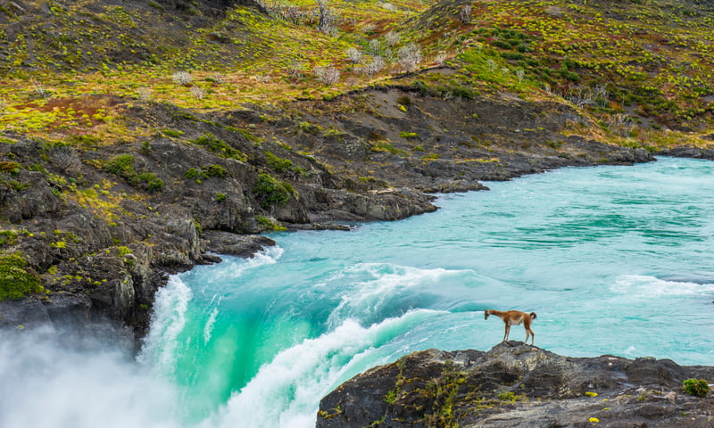 Stop at Salto Grande waterfall in the Torres del Paine, Chile.