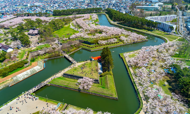 Take a stroll through the iconic Goryokaku Park in Hakodate, Japan.