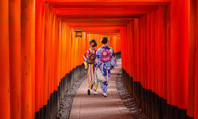 Join an optional tour to visit Kyoto's thousand red Torii of Fushimi Inari Shrine, Japan.