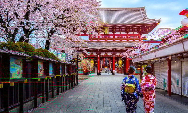 Two geishas in traditional colourful kimono stroll towards Tokyo's Sensoji Temple, Japan.