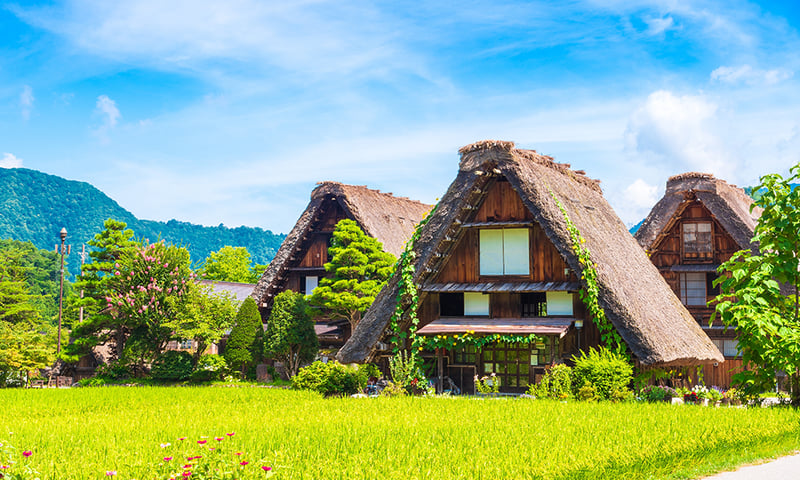 Marvel at the UNESCO-listed gassho-zukuri village of Shirakawa-go, Japan.