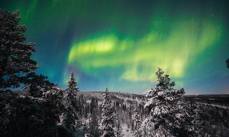 See the Northern Lights as you travel through Finland's wilderness