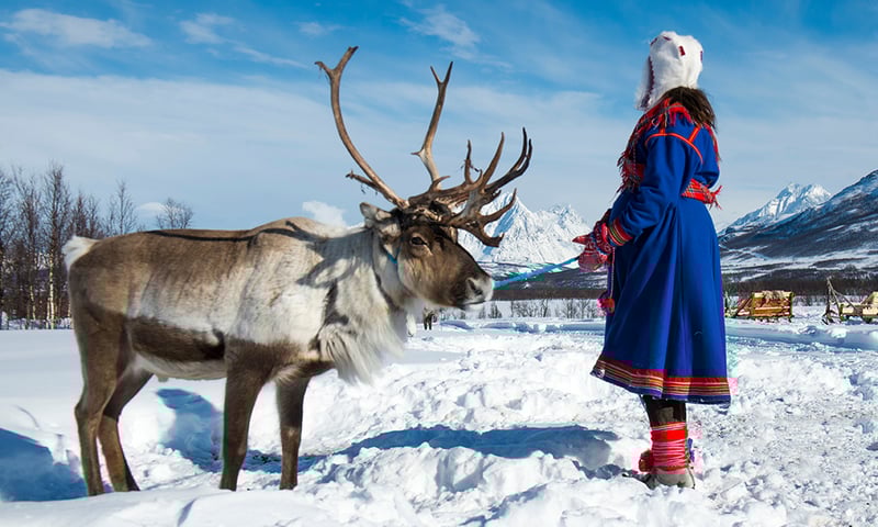 Encounter traditional nomadic Sami reindeer herders to learn about their culture, Lapland, Finland