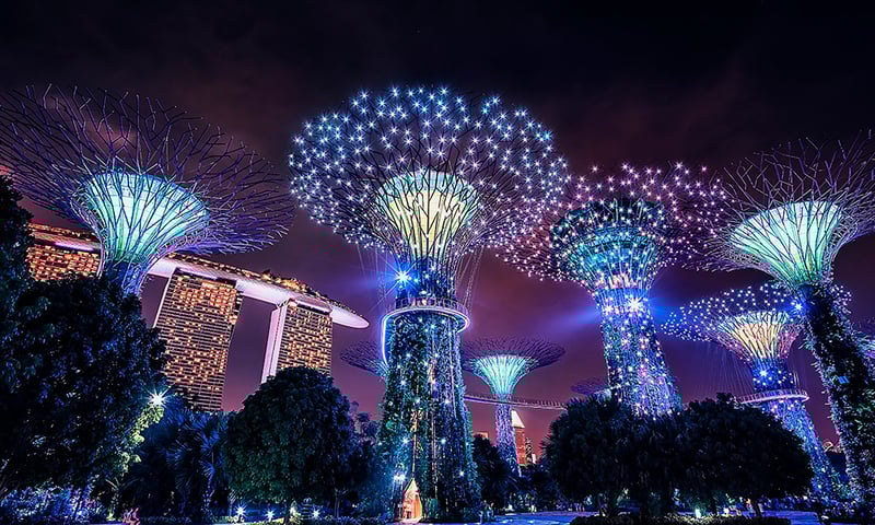 Colourful laser lights play across an inspirational sky-garden, Gardens by the Bay, Singapore