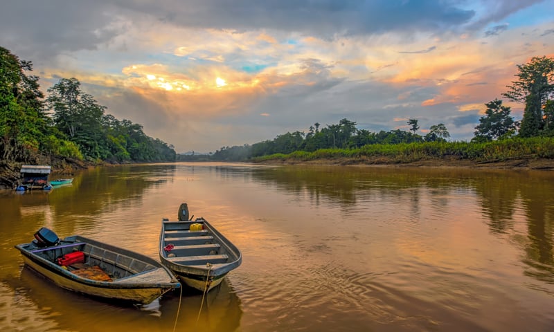 Enjoy three cruises along the Kinabatangan River, Malaysia.