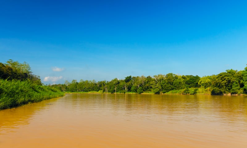 Enjoy a morning cruise around Oxbow Lake, Malaysia.
