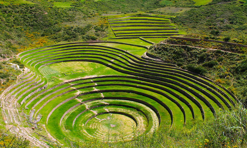 Marvel at the ancient Inca circular terraces in Moray, Peru.