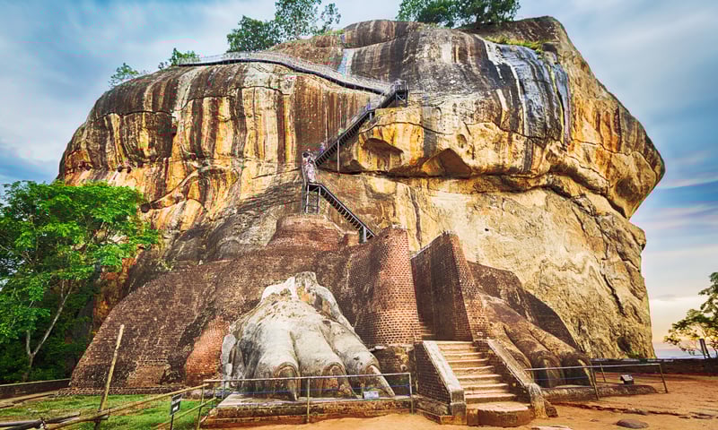 Climb up to the iconic Sigiriya Lion's Rock Fortress, dating back to the 5th century.