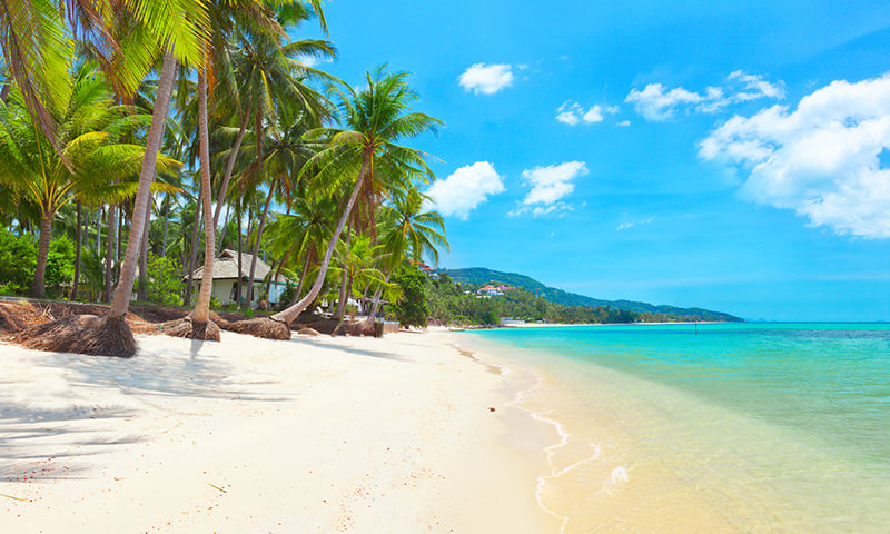 Relax as you soak up the sun on the white sand of Bang Po Beach, Koh Samui.