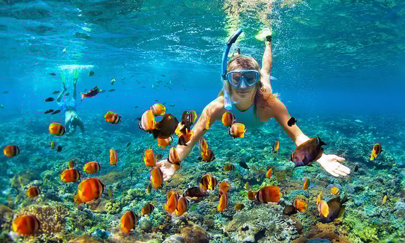 Snorkel and swim among the emerald lagoons of Mu Ko Ang Thong Marine Park.