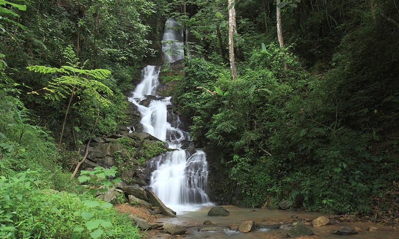 Search for hidden waterfalls in Khao Sok National Park.