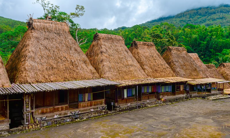 See the conical-shaped thatched-roof houses of Bena Village, Flores.