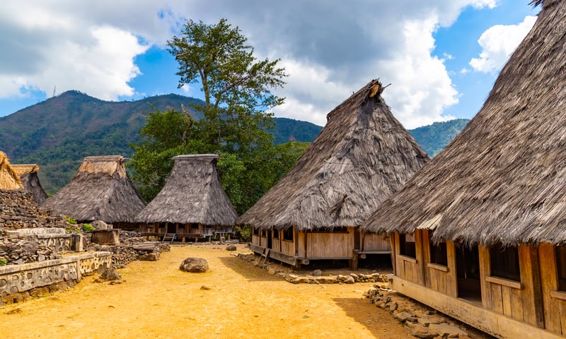 See a captivating traditional village in Wologai, Flores.