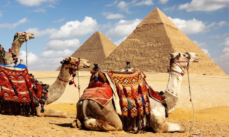 Visit the iconic Pyramids of Giza near Cairo, Egypt.